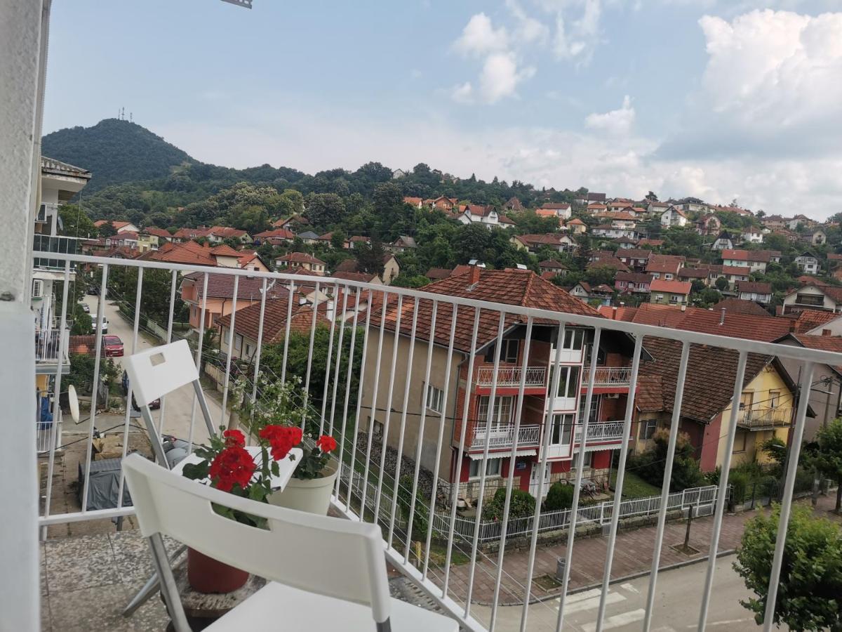 Faris Apartment Долни Милановац Екстериор снимка